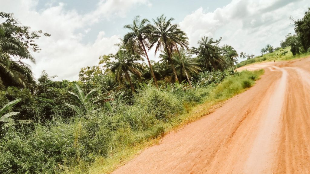 A photo of a dirt road extending into the distance, with palm trees and vegetation along the side
