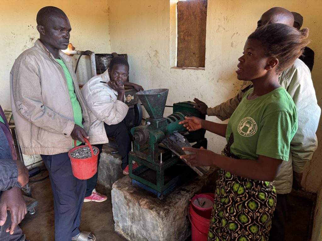 Photo of a woman standing next to a sunflower oil mill, explaining how it works. Man holds pail of sunflower seeds while others sit behind him.