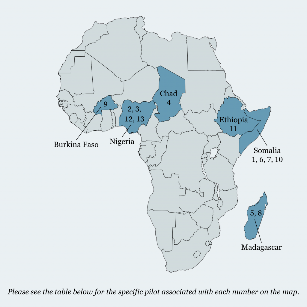 Map of Africa with Burkina Faso, Nigeria, Chad, Ethiopia, Somalia, and Madagascar highlighted