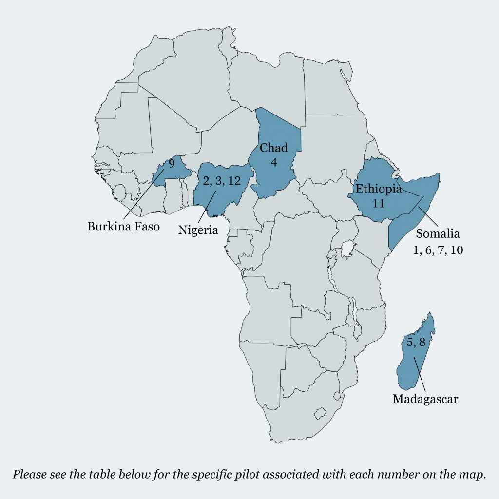 Map of Africa with Burkina Faso, Nigeria, Chad, Ethiopia, Somalia, and Madagascar highlighted