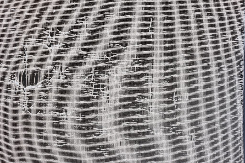 A torn mosquito net